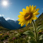 Alpine Flora’s Sun-Chasing Secret: Unveiling Heliotropism’s High-Altitude Edge (2025)