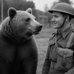 Wojtek the Soldier Bear: WWII’s Most Unbelievable Animal Hero